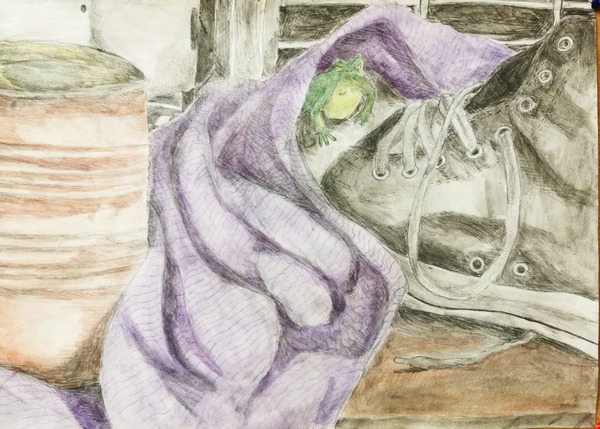 Goldene Palette Mia Gratzl Kolorierte Bleistiftzeichnung Frosch im Schuh